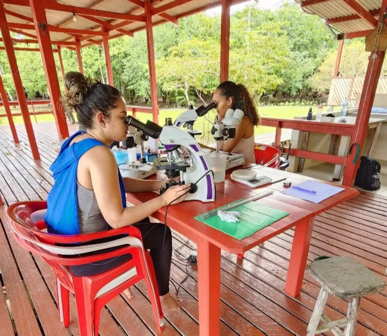 Espécie inédita de parasita é descoberta no peixe ‘lambari’ por pesquisadores do Amapá