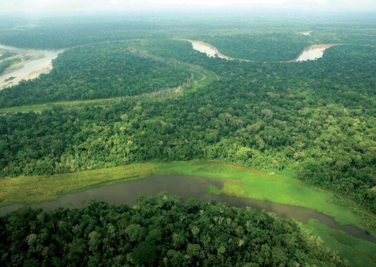 Zoneamento e manejo florestal sustentável são prioridades em nove regiões peruanas
