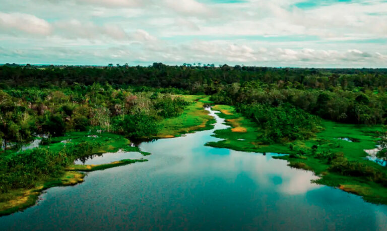 Juruti vai receber trilha ecológica e turismo de base comunitária