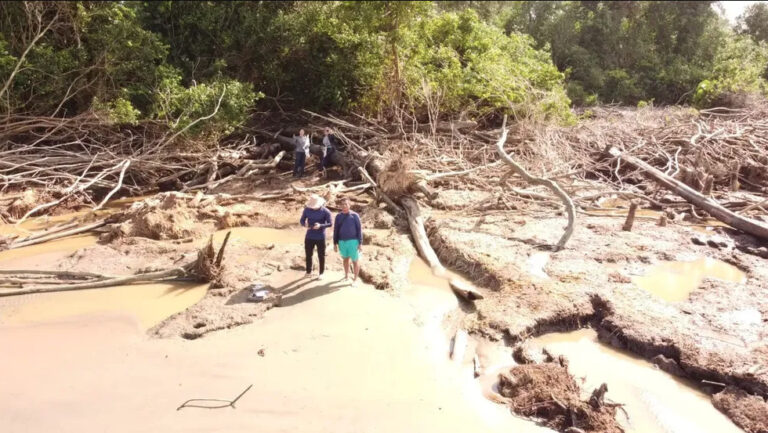 Expedição científica é feita na Reserva Biológica do Parazinho no Arquipélago do Bailique para conservação