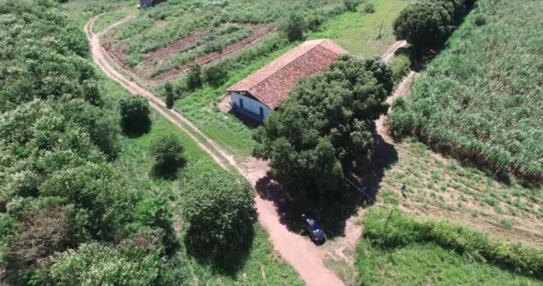 Fazenda Experimental em Mato Grosso adota coleira para detecção de doenças