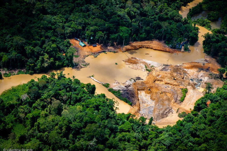 Garimpo ameaça saúde de crianças Yanomami, aponta Unicef