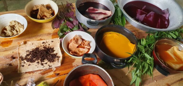 Cartilha inédita no Amazonas ensina como produzir tintas naturais com plantas da floresta