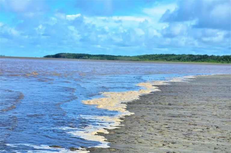 O que são as reservas marinhas que o ICMBio quer criar na costa do Amapá?