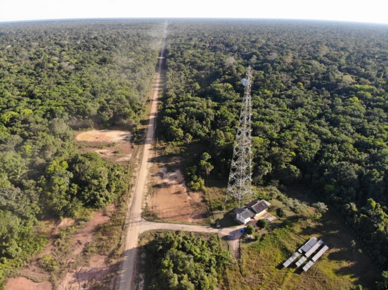 PSDB solicita garantia de pavimentação da BR-319 ao STF