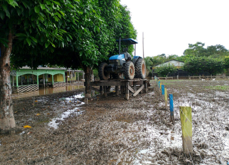 Ribeirinhos recomeçam a vida após cheia do Rio Madeira