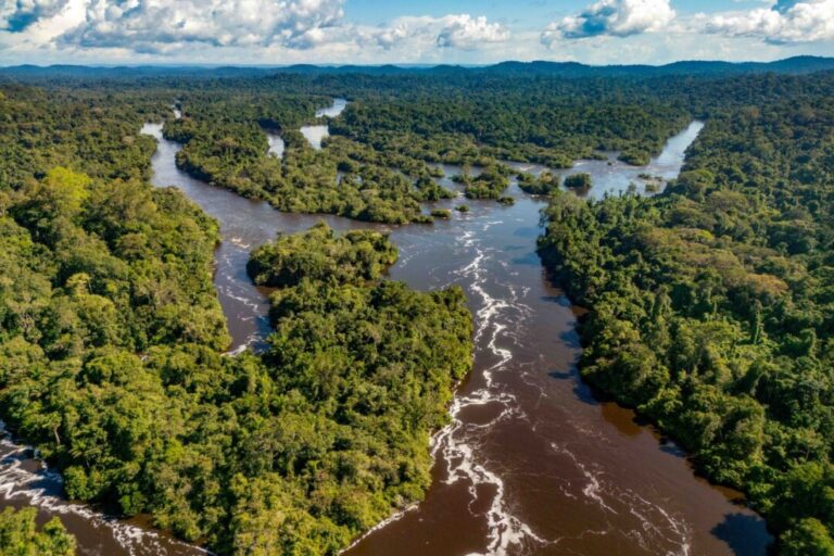 Em março, Pará registra redução de 36% em área recoberta por alerta de desmatamento
