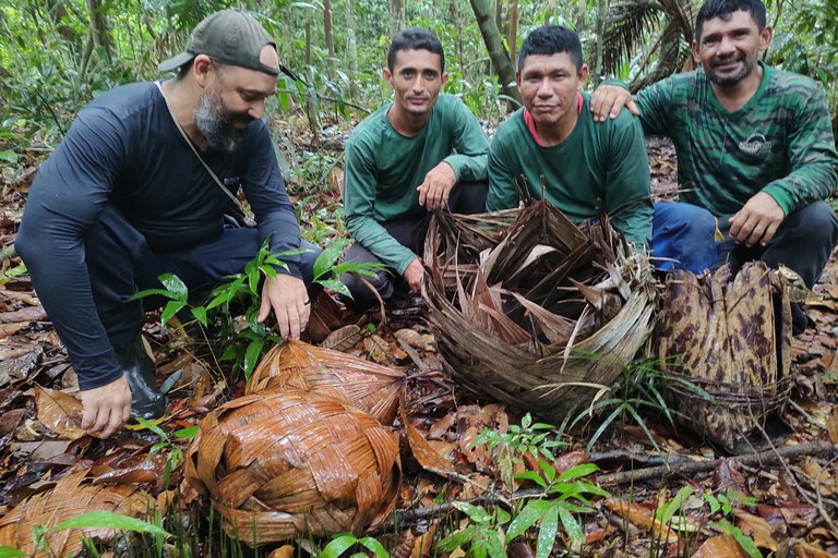 Desmatamento se aproxima de povos isolados na última fronteira da Amazônia brasileira