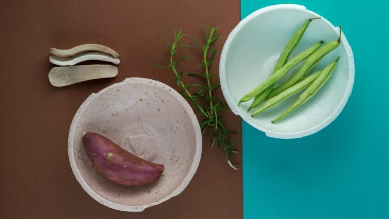 Mandioca: startup produz embalagens com insumos da biodiversidade amazônica