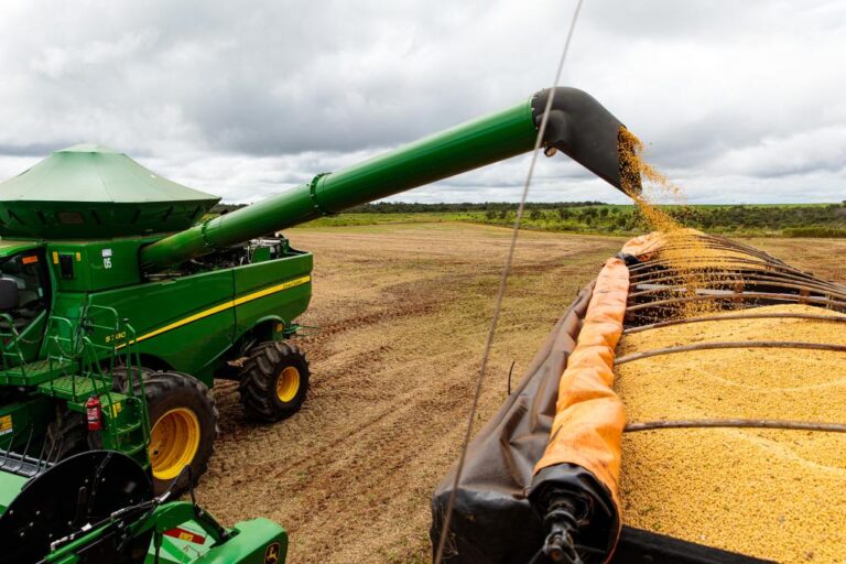 Safra de grãos em Mato Grosso será a maior da história e com maior produtividade média da soja