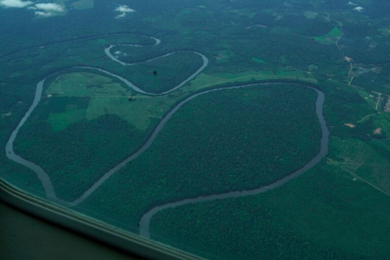 Pará regulamenta Cota de Proteção Ambiental e fortalece gestão de Unidades de Conservação