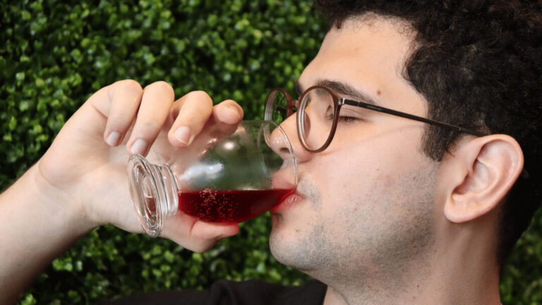 Kombucha H: bebida fermentada à base de ingredientes amazônicos