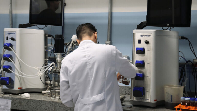 Pesquisadores de Mato Grosso e parceiros criam bioinsumo contra percevejos