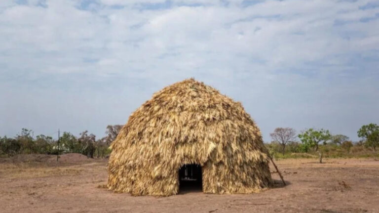 Projeto inovador do Mato Grosso apoia bioeconomia indígena