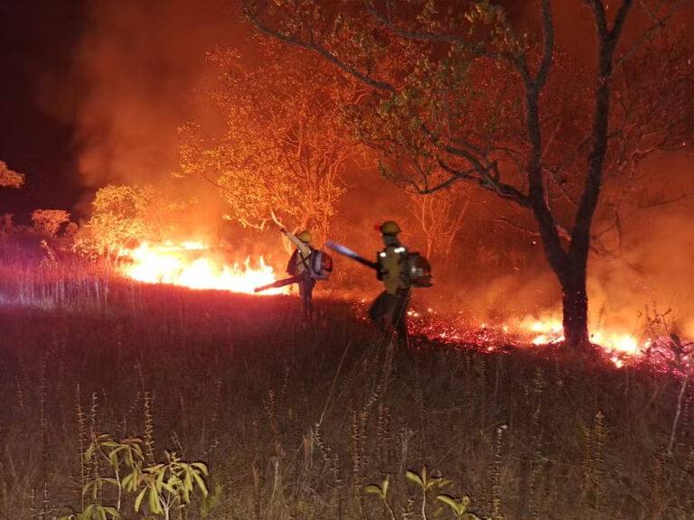 Registro de desmatamento e focos de calor cai no Amazonas em março, aponta Ipaam