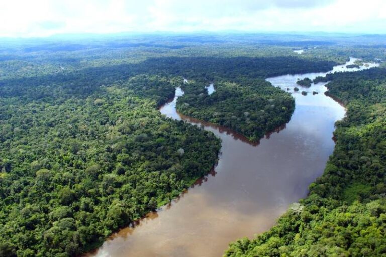 Portal Amazônia responde: o que é ‘Amazônia Continental’? 
