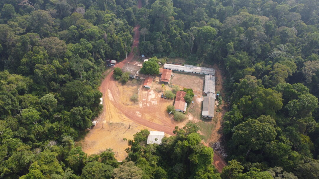 concessões florestais