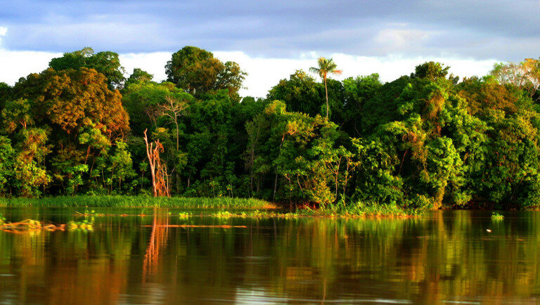 Flona de Tefé: agricultura familiar e turismo de base comunitária fortalecem unidade de conservação