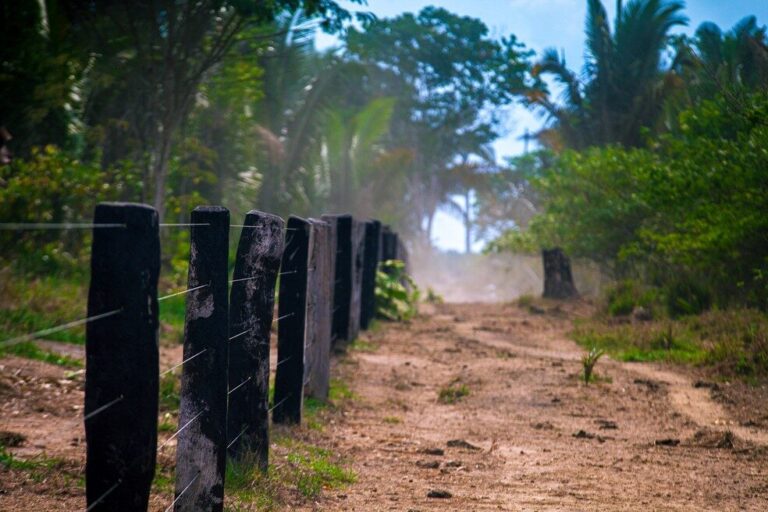 Facções criminosas avançam na Amazônia Legal, aponta estudo