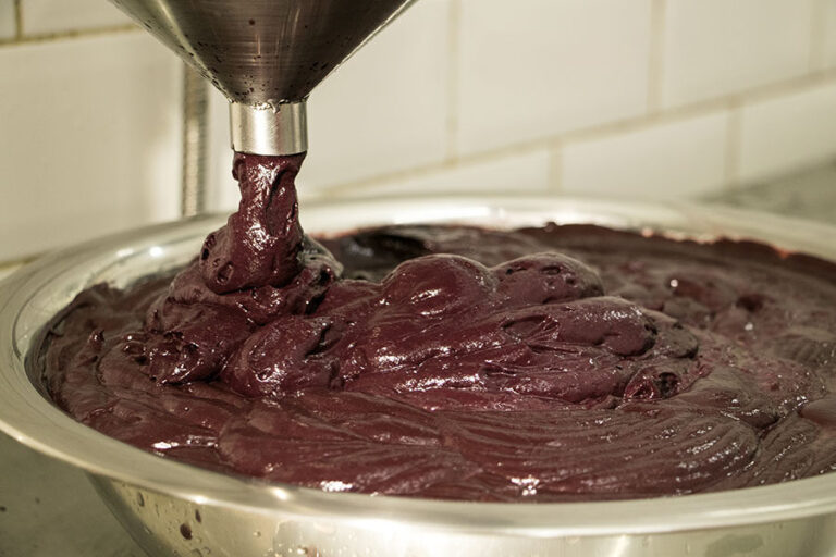 Açaí industrializado mantém propriedades do fruto fresco, aponta pesquisa da Ueap