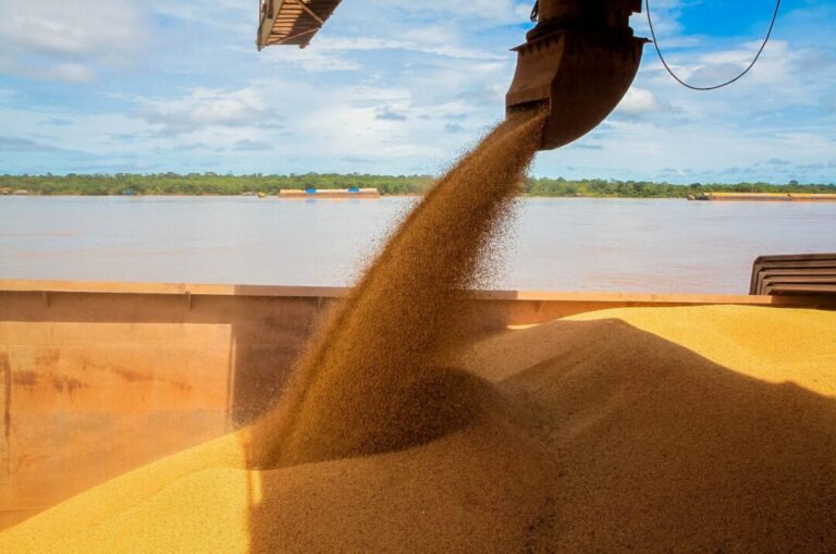 Rondônia se destaca entre os estados com maior crescimento da produção agrícola do país