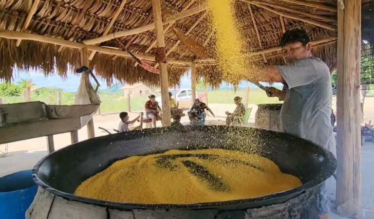 Indígenas de Roraima mantêm tradição na produção artesanal de farinha e vendem até para a Guiana