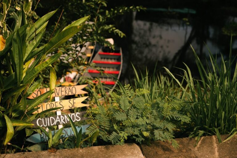 Turismo de base comunitária contribui para manutenção da floresta em pé no Acre