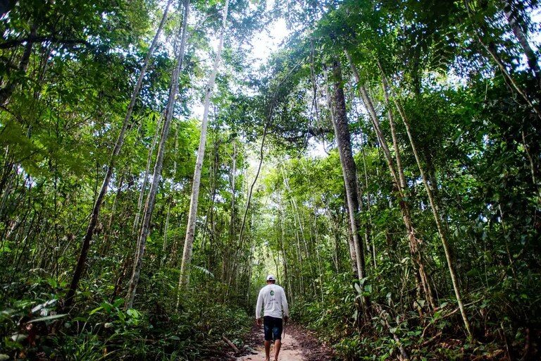 Agricultores que conservaram a floresta começam a receber R$ 2,2 milhões do Projeto Floresta+ Amazônia