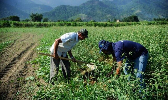 agricultura familiar do Acre