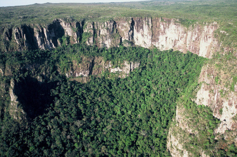 Festival Povos da Floresta