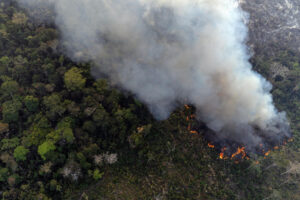 Amazônia Legal registra média de 11 mil km² por ano de área desmatada