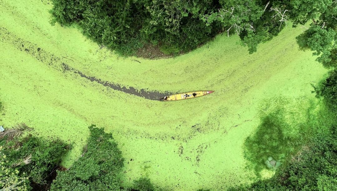 impactos positivos do ecoturismo