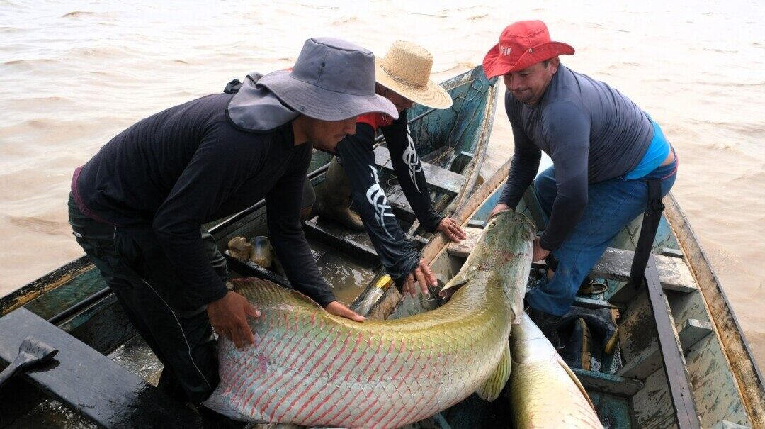 Reserva Biológica do Guaporé