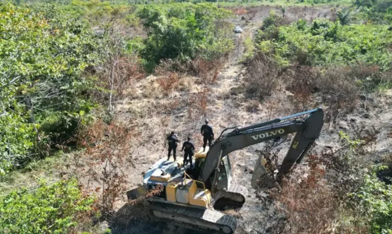 Mineração ilegal e tráfico de animais serão crimes de maior gravidade