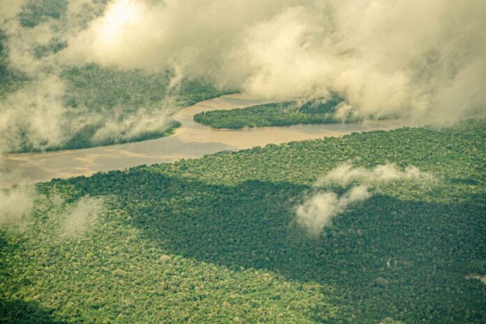 Desmatamento no Brasil caiu