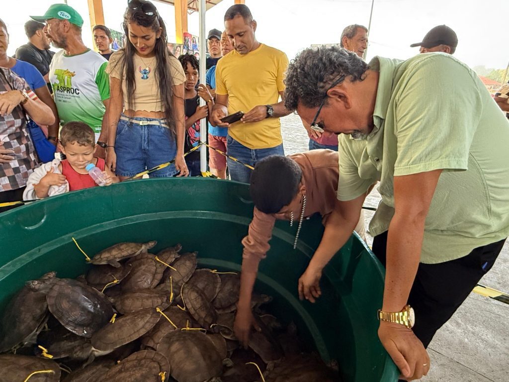 Primeira venda legalizada de quelônios manejados.