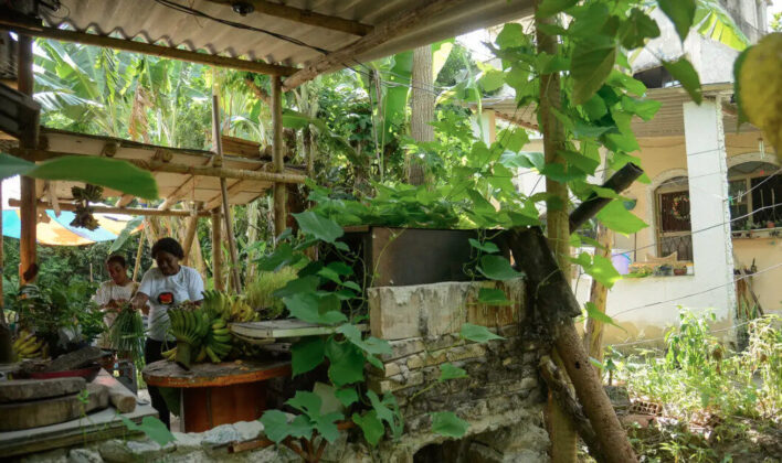 Seis em cada dez quilombolas vivem em área rural