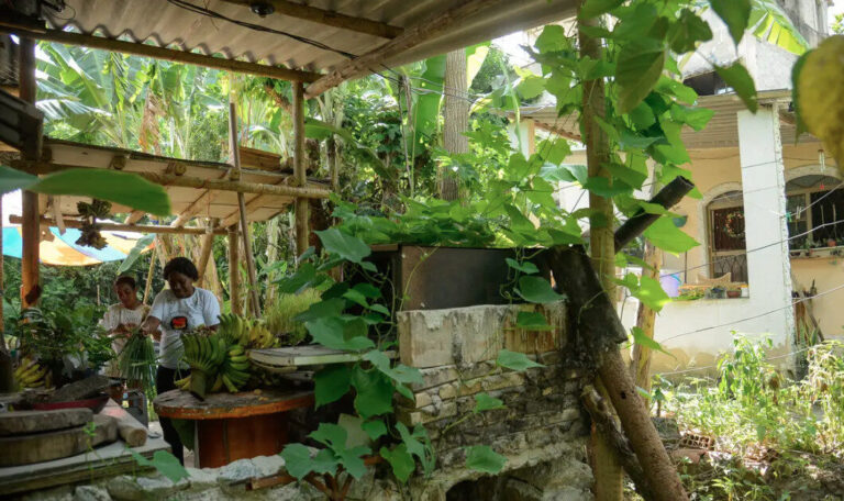 Seis em cada dez quilombolas vivem em área rural, revela Censo do IBGE