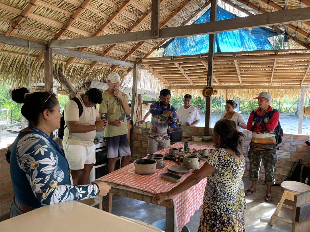 remédios naturais encantam visitantes