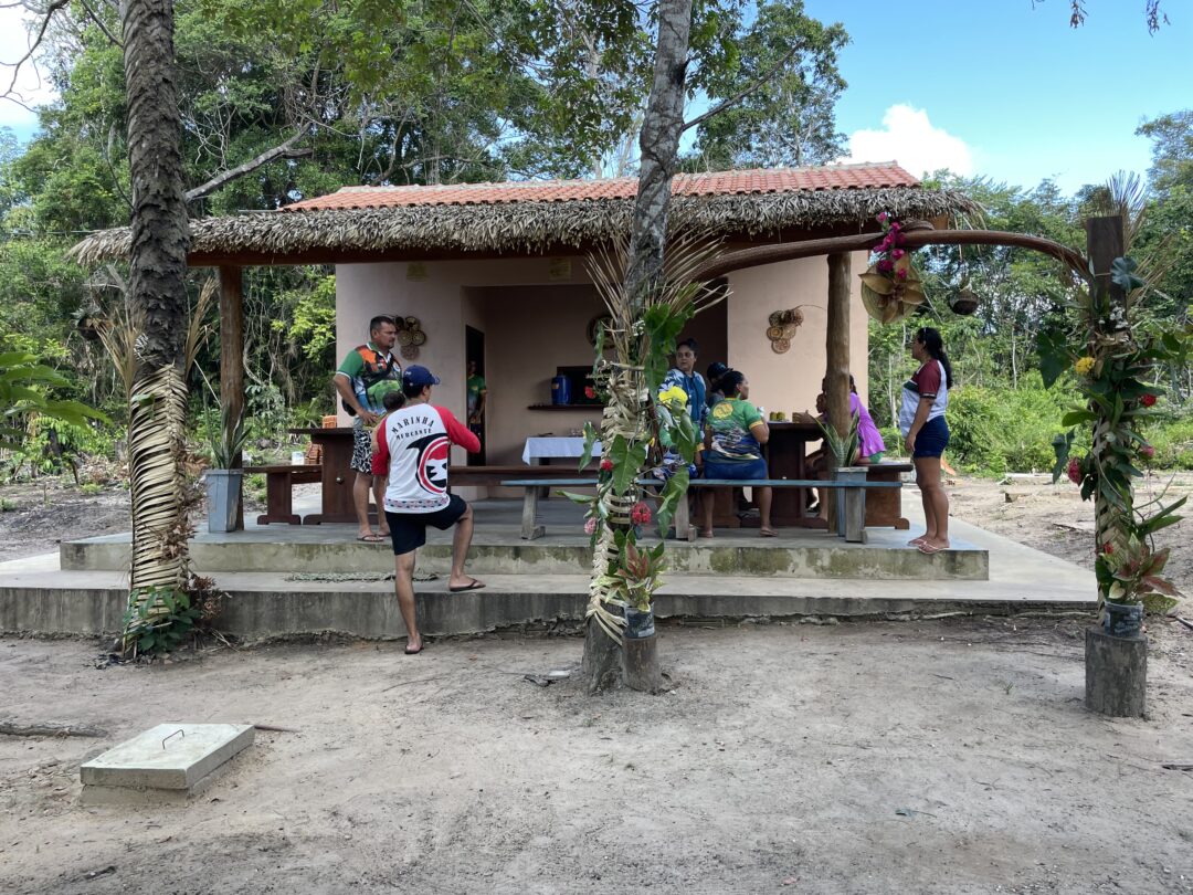 remédios naturais encantam visitantes