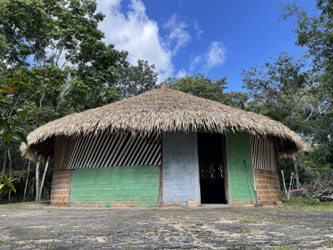 remédios naturais encantam visitantes