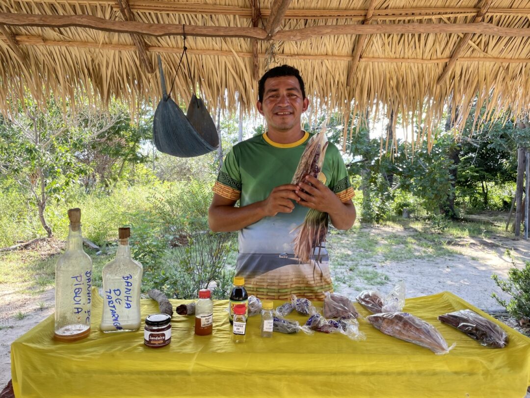 remédios naturais encantam visitantes