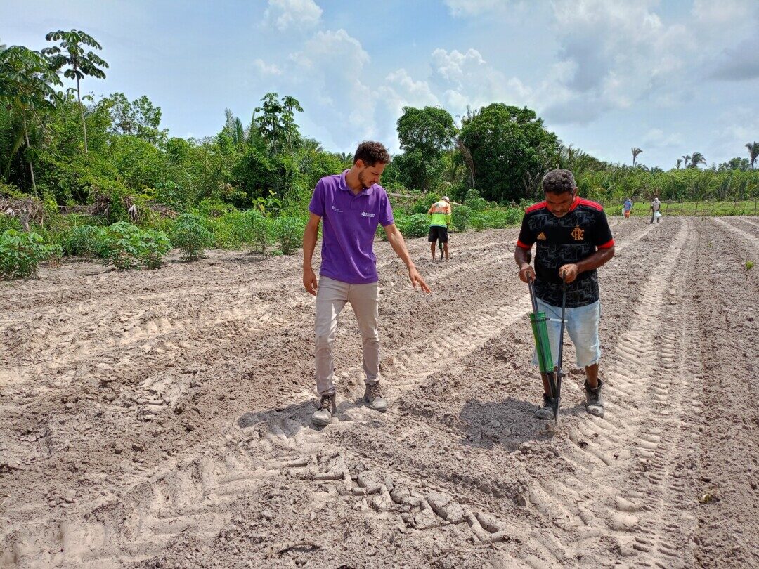 Seis em cada dez quilombolas vivem em área rural