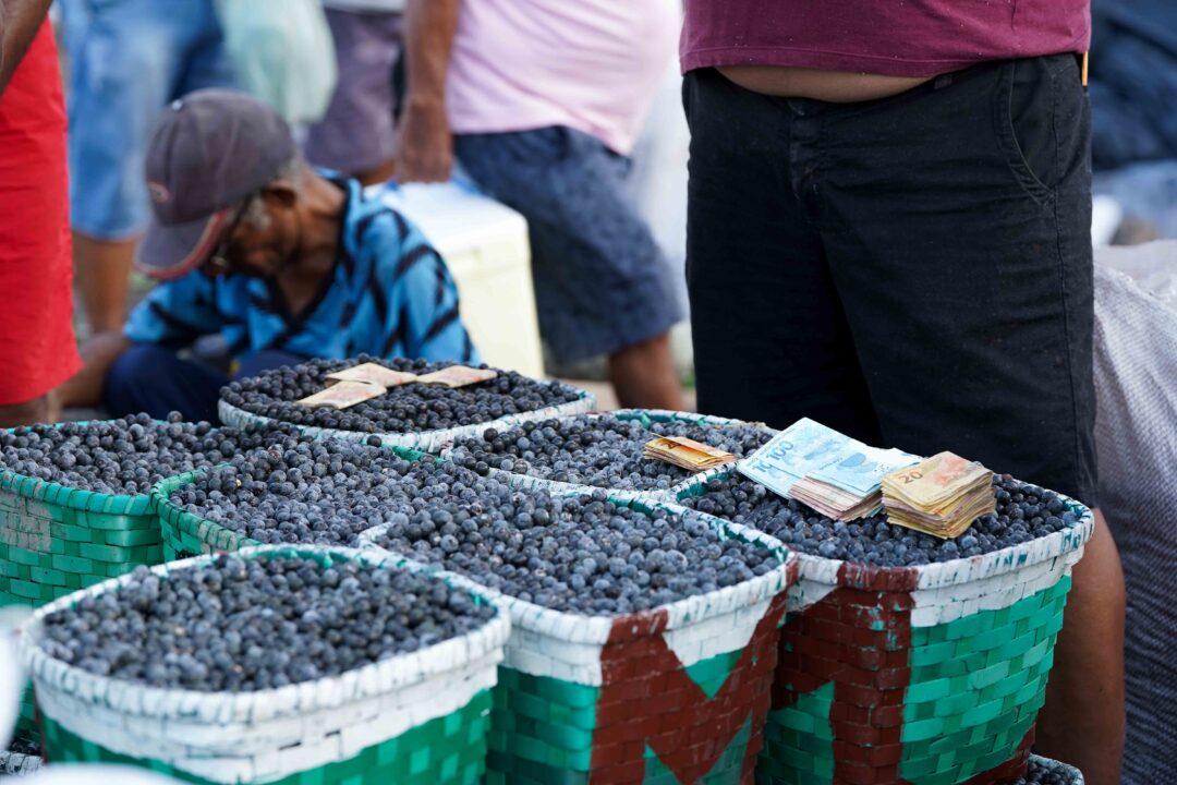 Produção de açaí