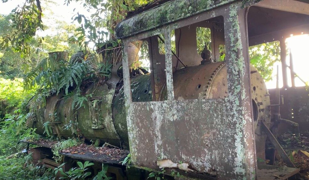 Trem da Estrada de Ferro Madeira