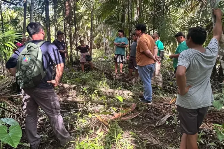 Governo britânico financiará programa piloto para impulsionar atividades sustentáveis na Amazônia
