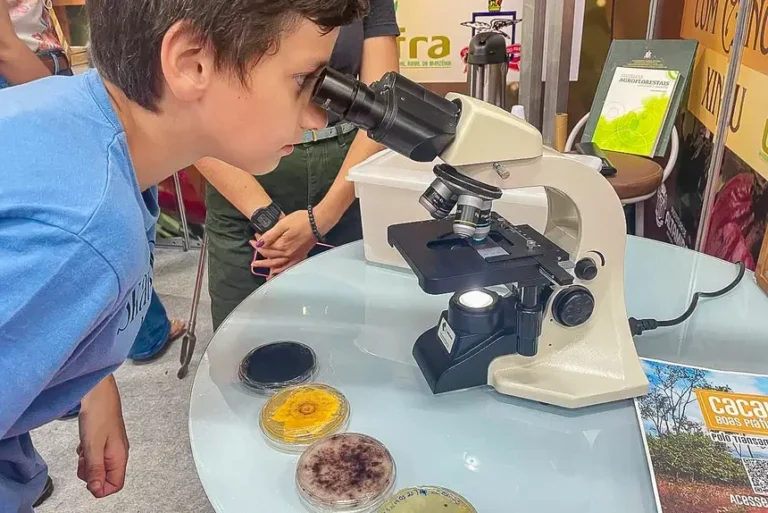 Instituições unem ciência com sabor no ‘Chocolate Xingu’