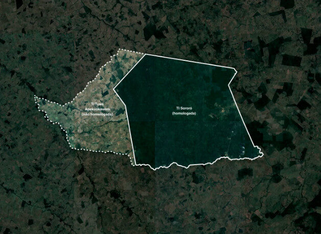 Terras vizinhas dos Suruí Aikewara mostram importância da demarcação para preservação da floresta 