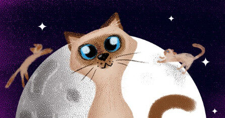 Livro ‘Saudades do Meu Gato Dom’ é reconhecido como referência na literatura do Tocantins