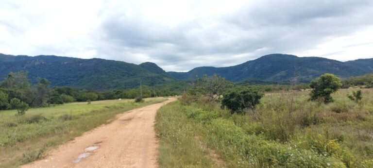 Comunidade Indígena Taxí 2 entra na rota do etnoturismo em Roraima